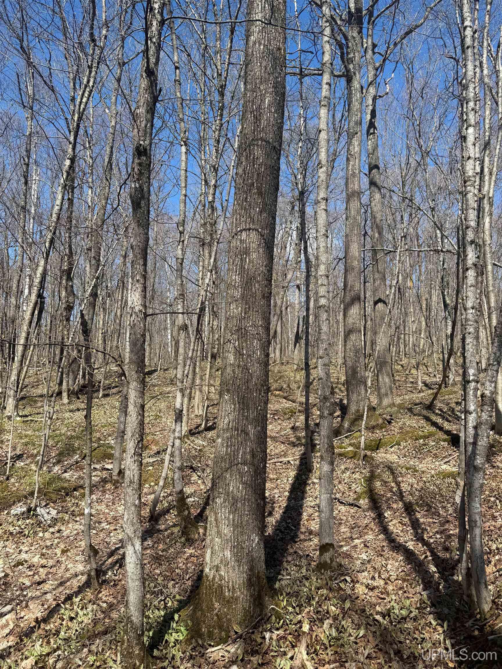 Tbd Victoria Dam Road Rockland, MI 49960 - Photo 8 of 22