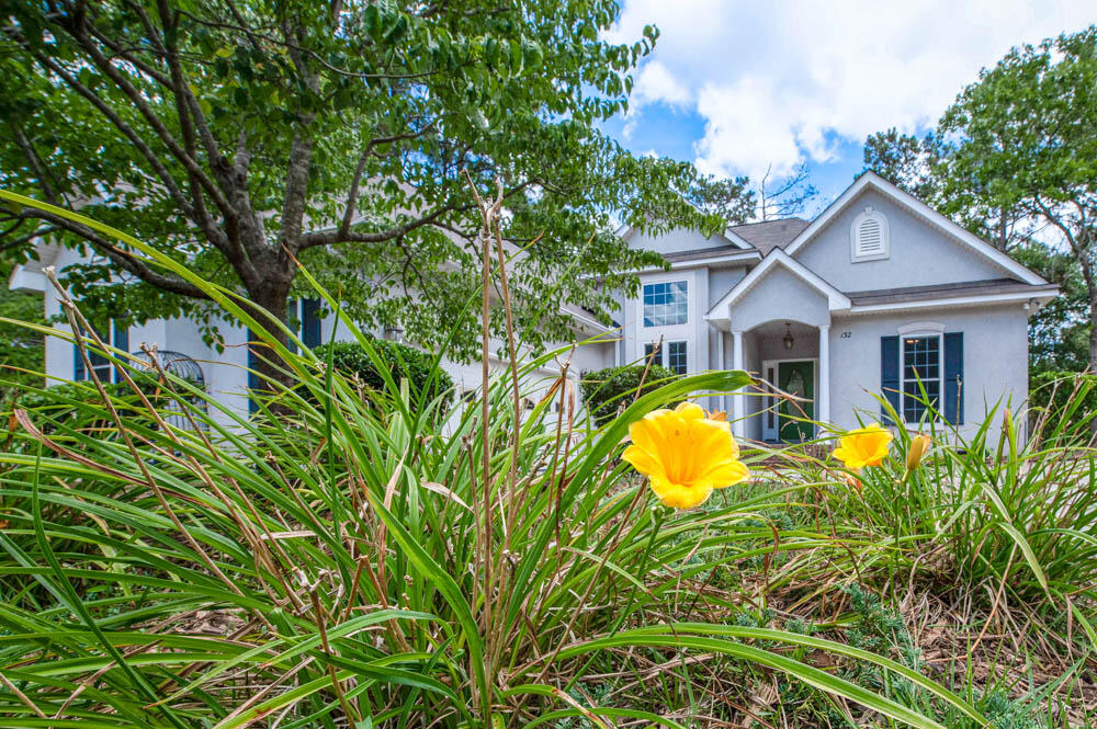 132 Riviera Road Aiken, SC 29803 - Photo 5 of 32 Flowers!