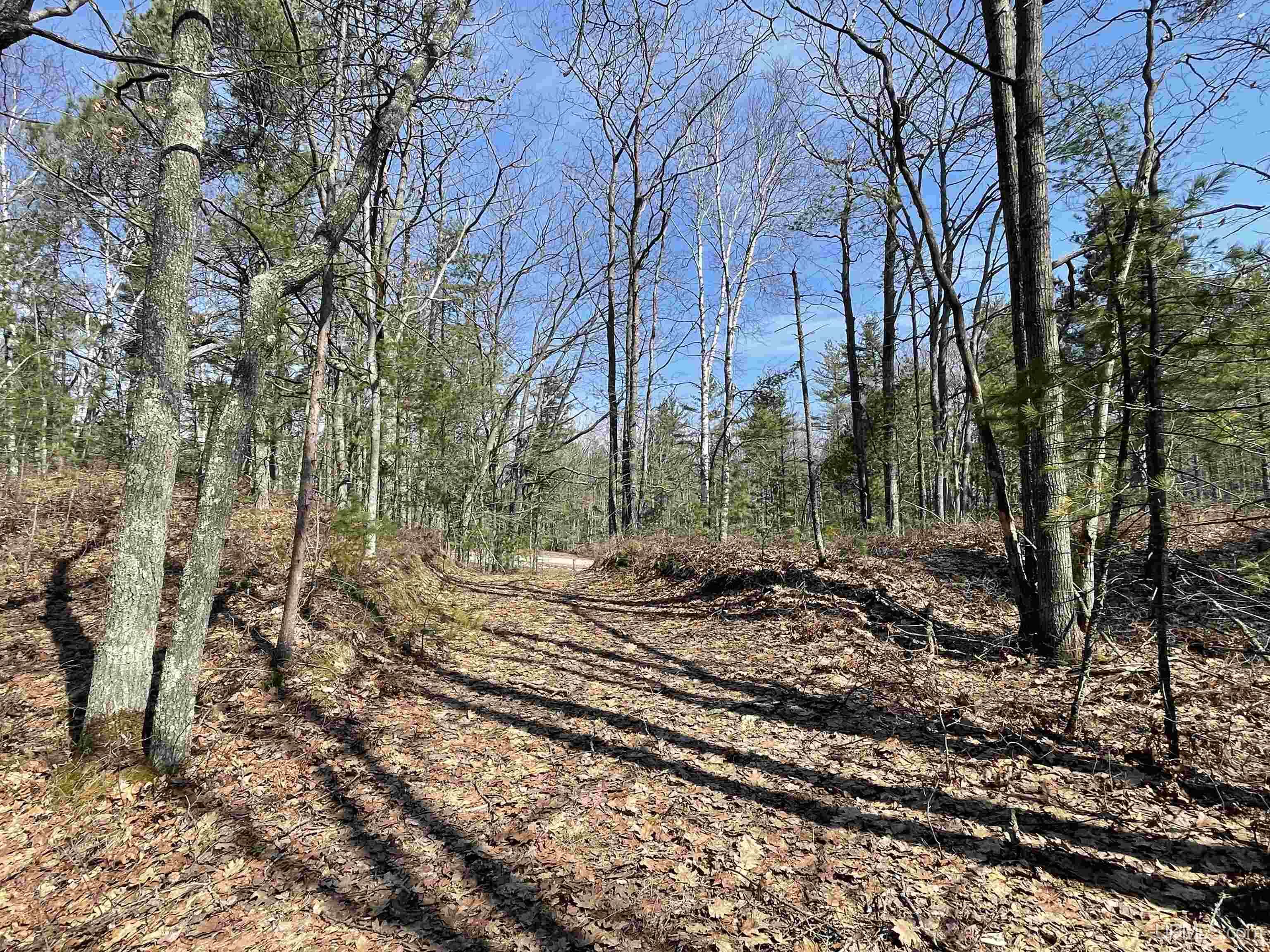 402 Top O' Lake Road Gulliver, MI 49840 - Photo 15 of 33