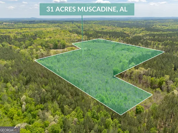 $288,000 | 0 County Road 49, Muscadine, AL 36269