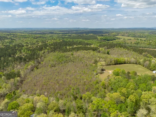 $288,000 | 0 County Road 49, Muscadine, AL 36269