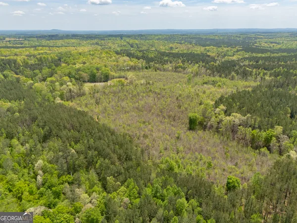 $288,000 | 0 County Road 49, Muscadine, AL 36269