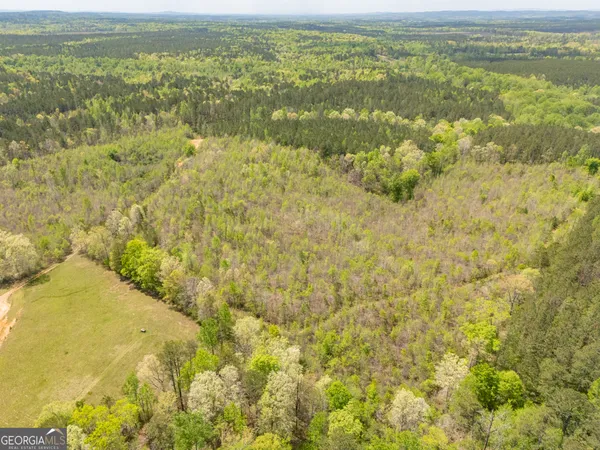 $288,000 | 0 County Road 49, Muscadine, AL 36269
