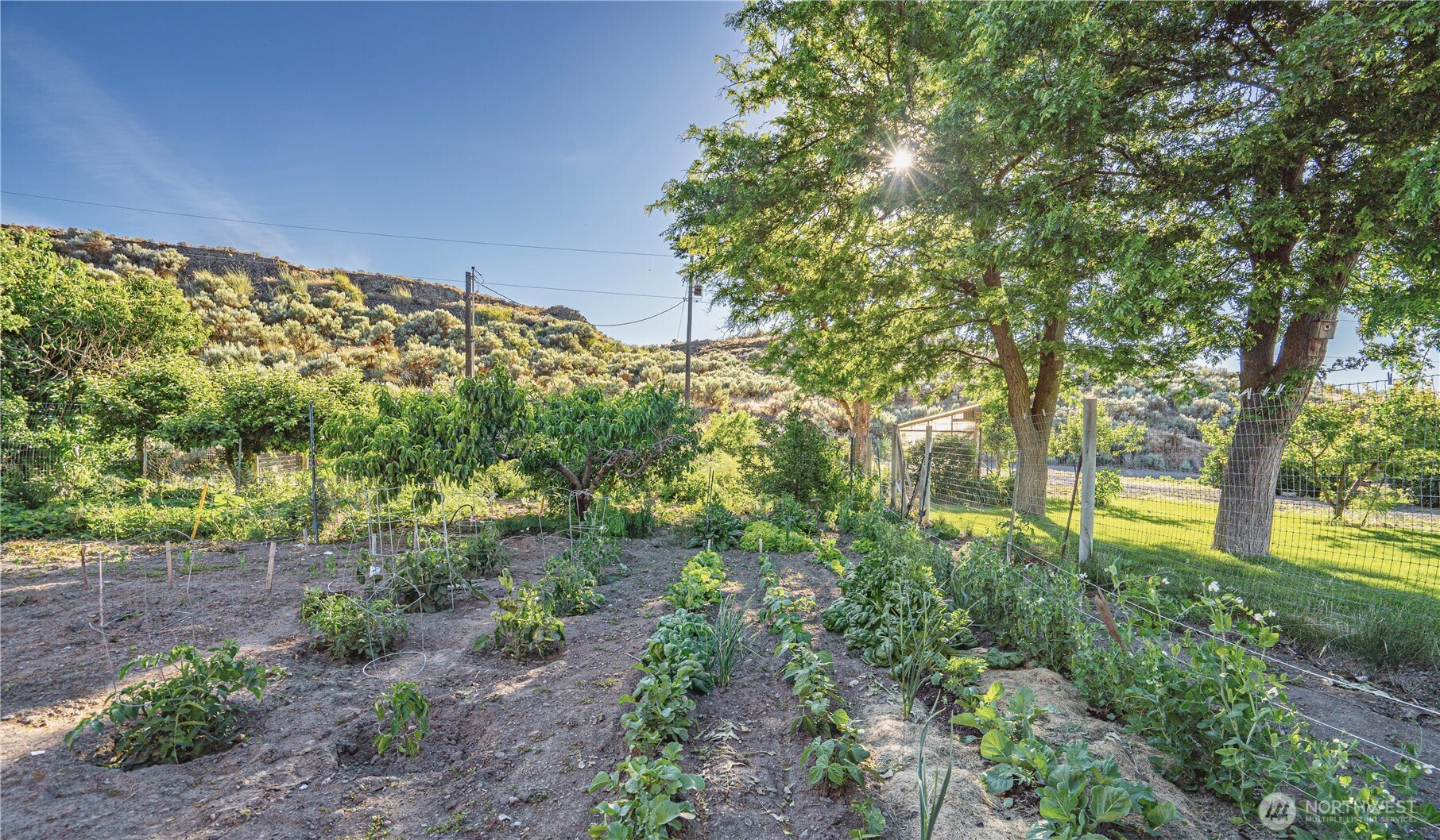 20548 Northeast 22nd Road Marlin, WA 98832 - Photo 18 of 26 a view of yard with green space