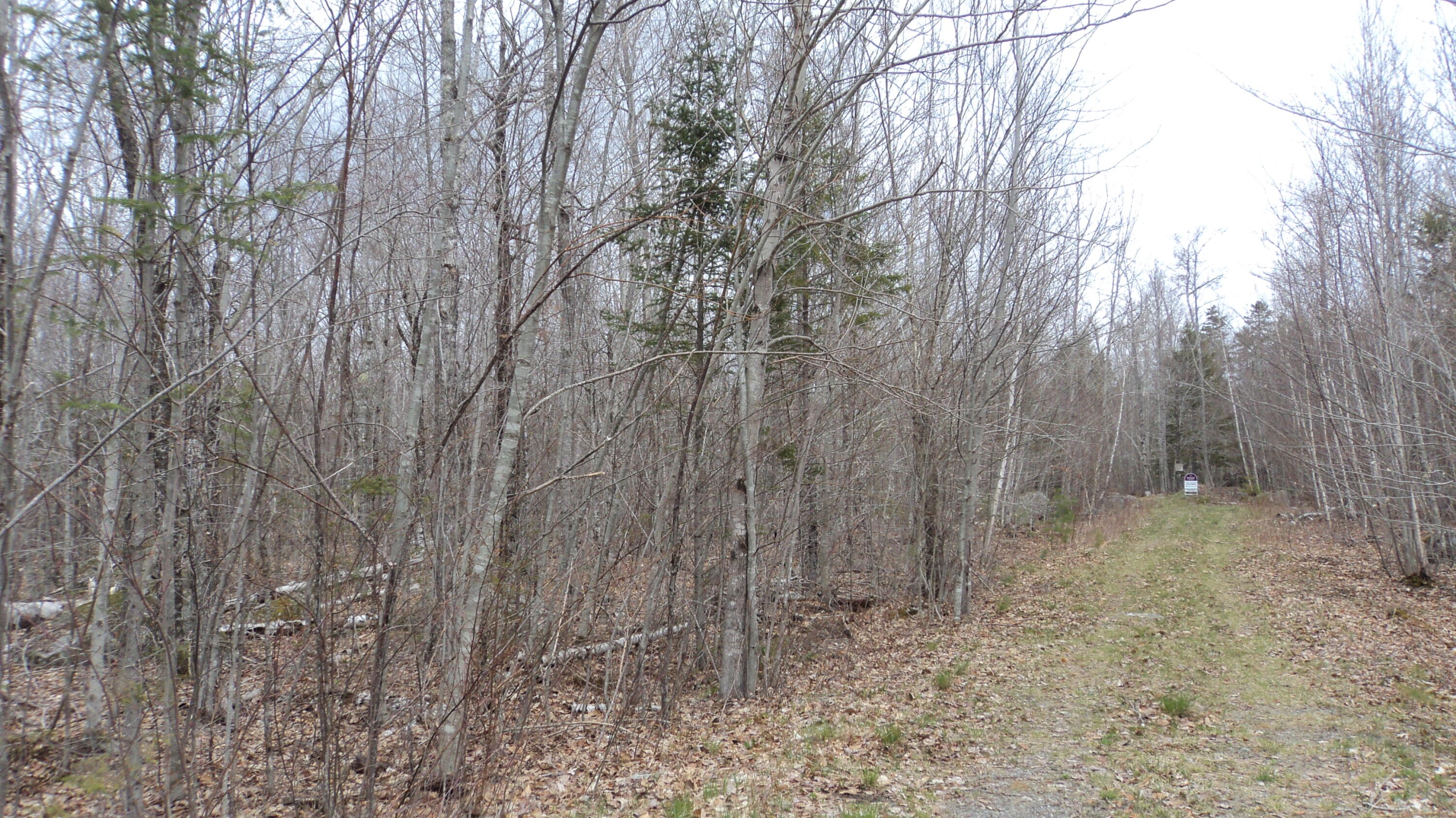 0 Green Lake Road Dedham, ME 04429 - Photo 1 of 1 DSC00942