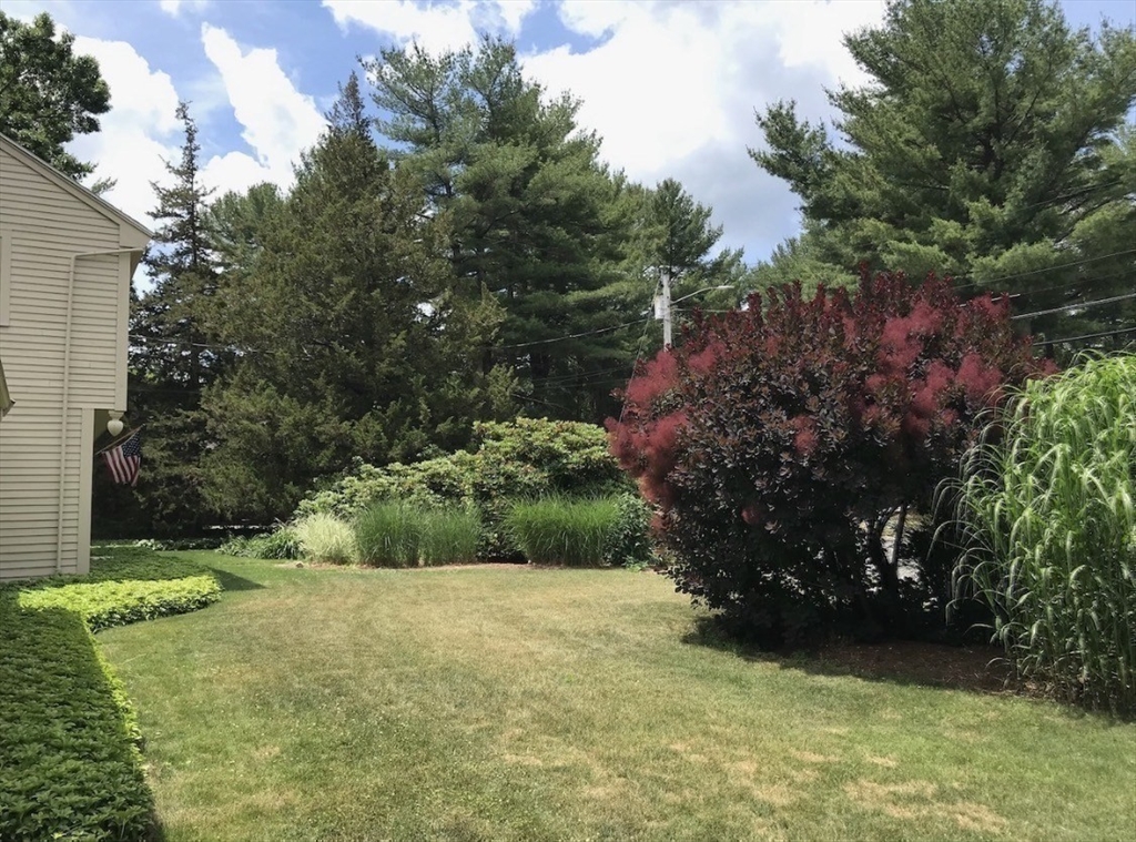 32 Granger Avenue Reading, MA 01867 - Photo 36 of 42