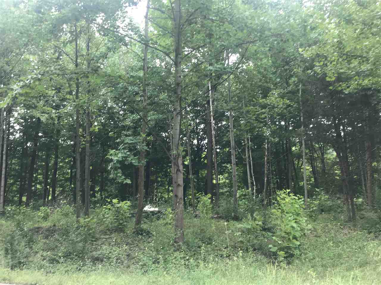 0 Ridgeview Logansport, IN 46947 - Photo 3 of 12