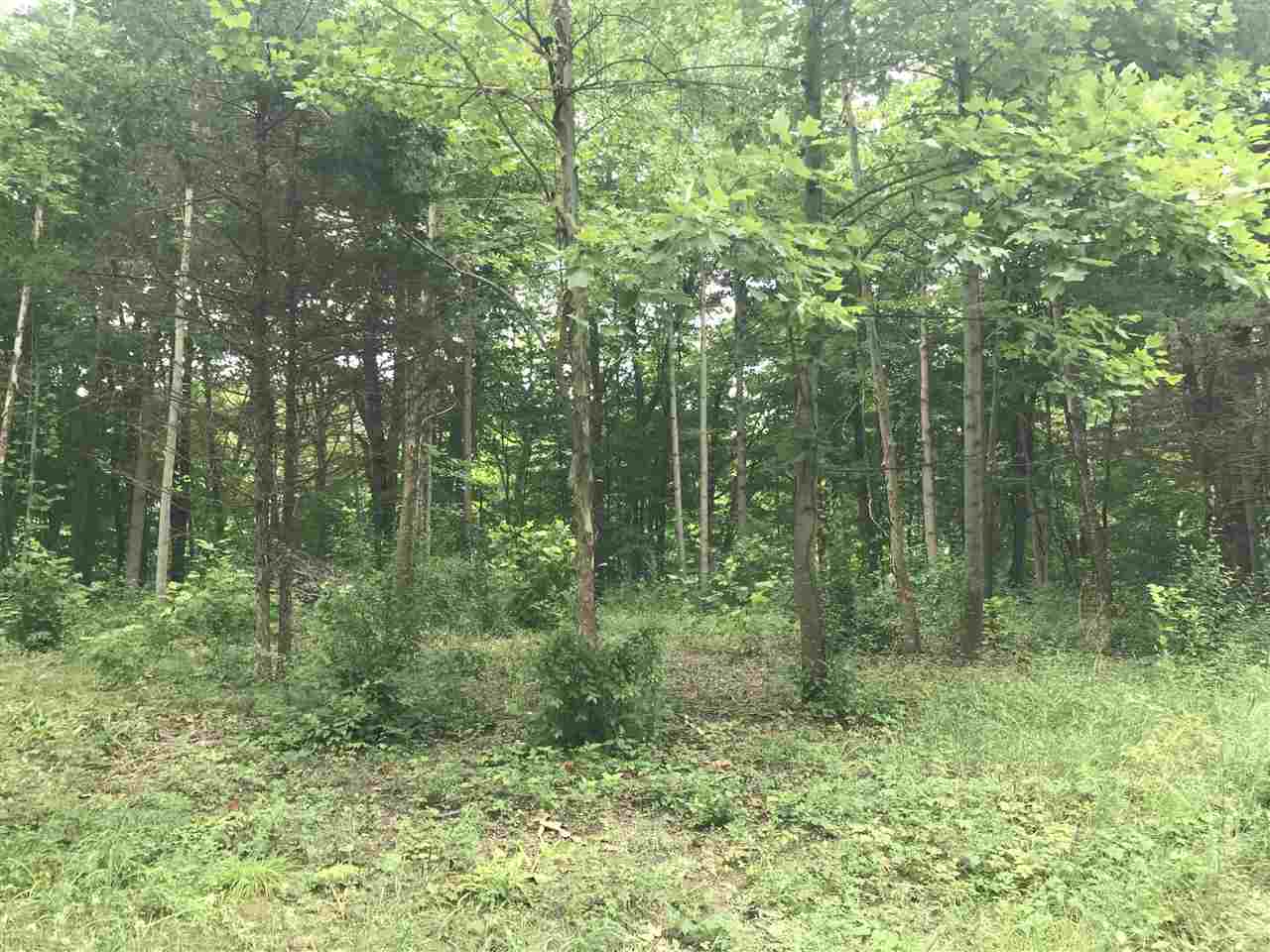 0 Ridgeview Logansport, IN 46947 - Photo 6 of 12