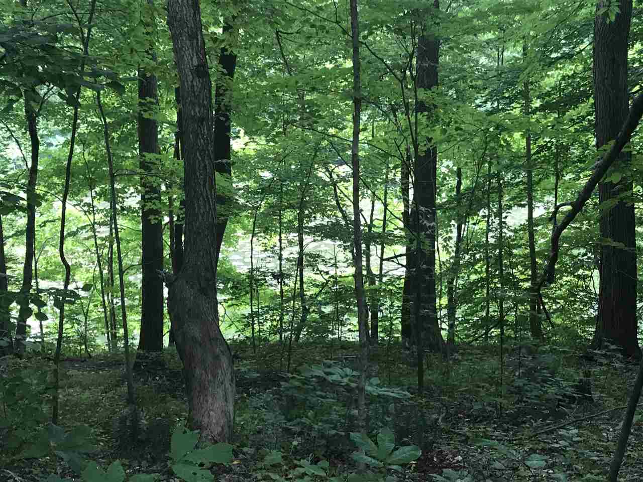 0 Ridgeview Logansport, IN 46947 - Photo 7 of 12