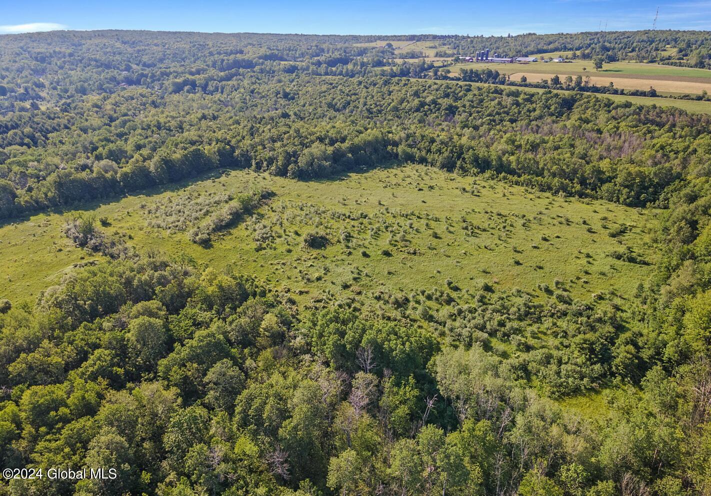 L8.111 Duanesburg Churches Road Delanson, NY 12053 - Photo 11 of 29 11