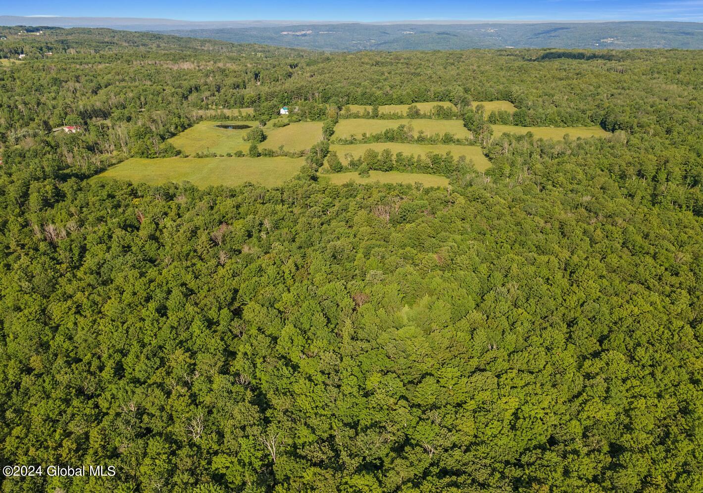 L8.111 Duanesburg Churches Road Delanson, NY 12053 - Photo 16 of 29 16