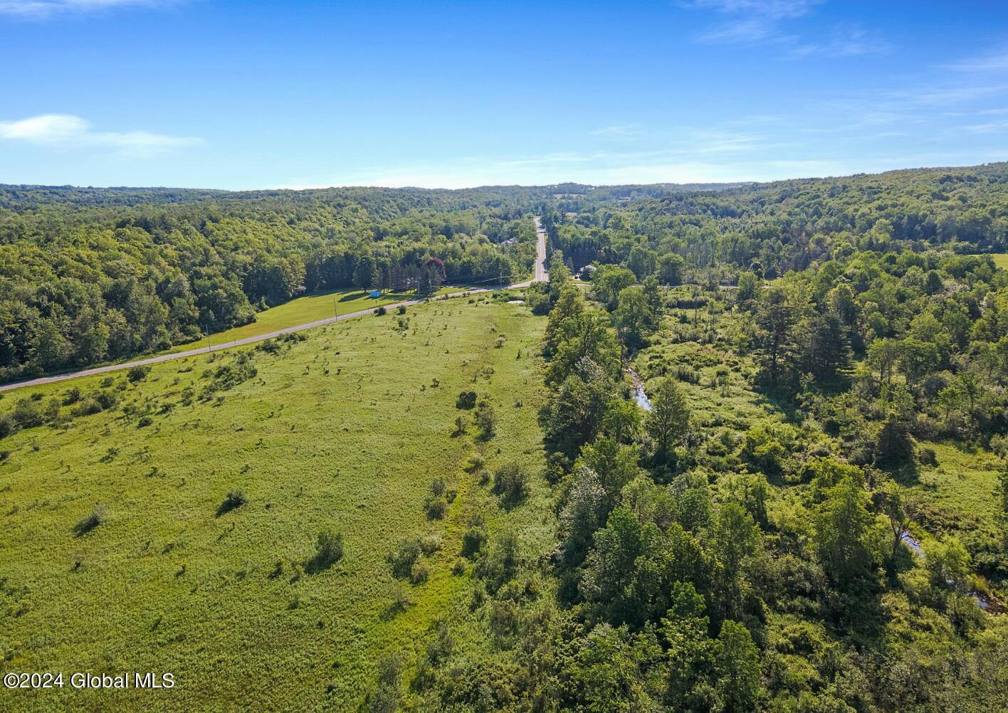 L8.111 Duanesburg Churches Road Delanson, NY 12053 - Photo 24 of 29 24
