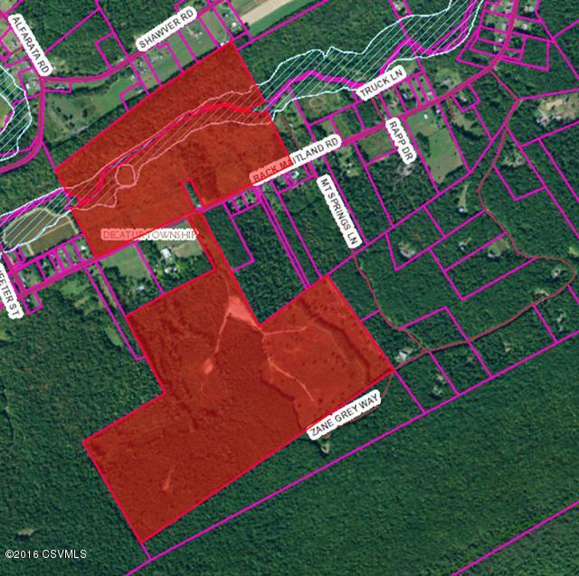Lot 4 Back Maitland Road McClure, PA 17841 - Photo 2 of 4
