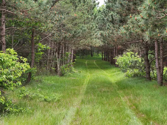 $325,000 | W4627 Big Bay Road, Necedah, WI 54646