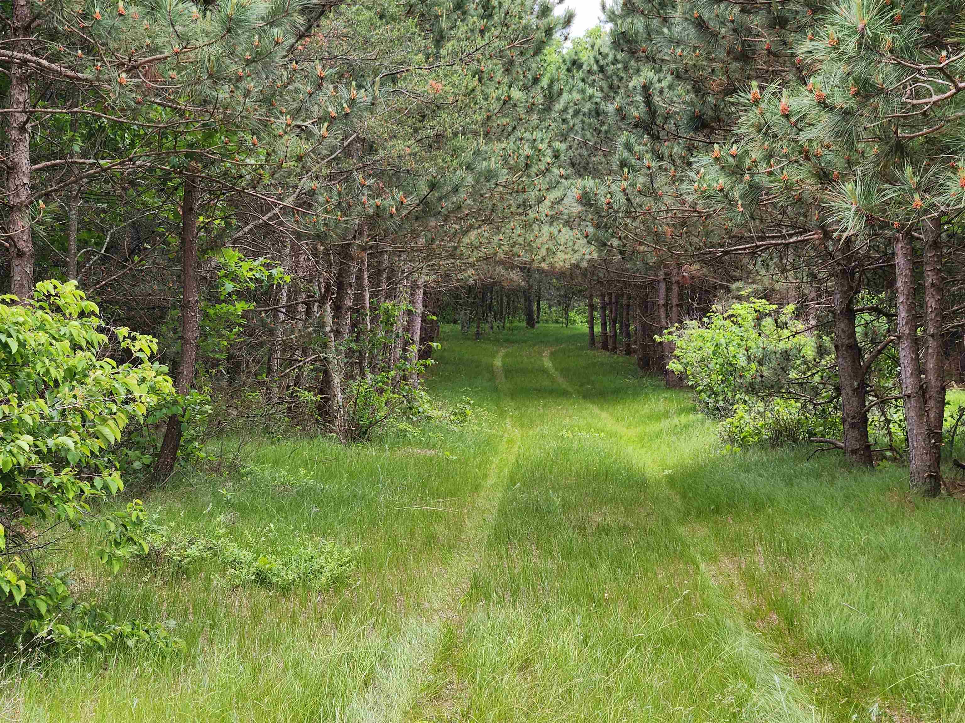 W4627 Big Bay Road Necedah, WI 54646 - Photo 14 of 28