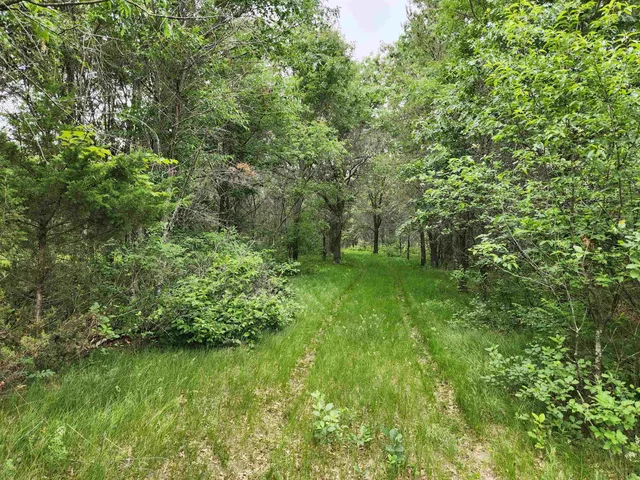 $325,000 | W4627 Big Bay Road, Necedah, WI 54646