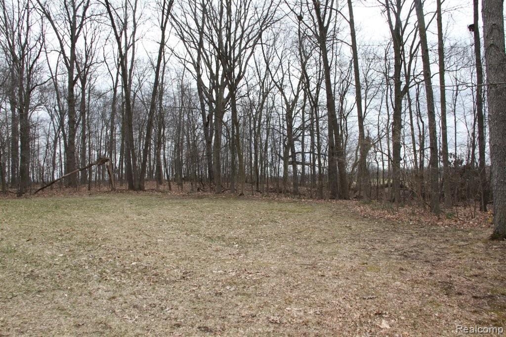 12191 East Austin Road Manchester, MI 48158 - Photo 14 of 17 IMG_5588.JPG