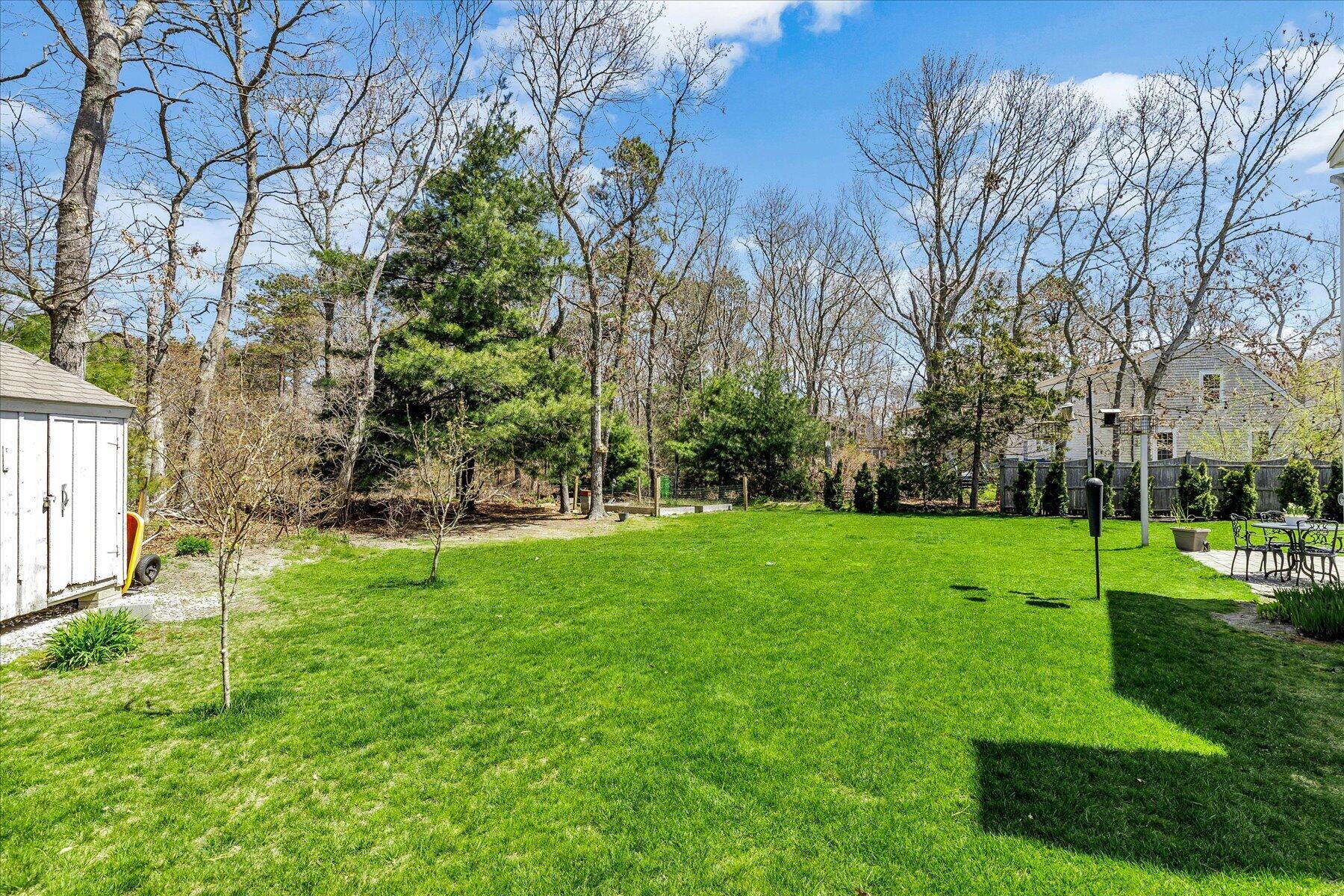 12 Drew Lane Mashpee, MA 02649 - Photo 49 of 49 a view of a backyard with large trees