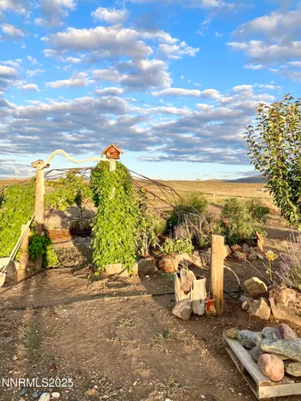 a bathroom with a bathtub and a potted plant