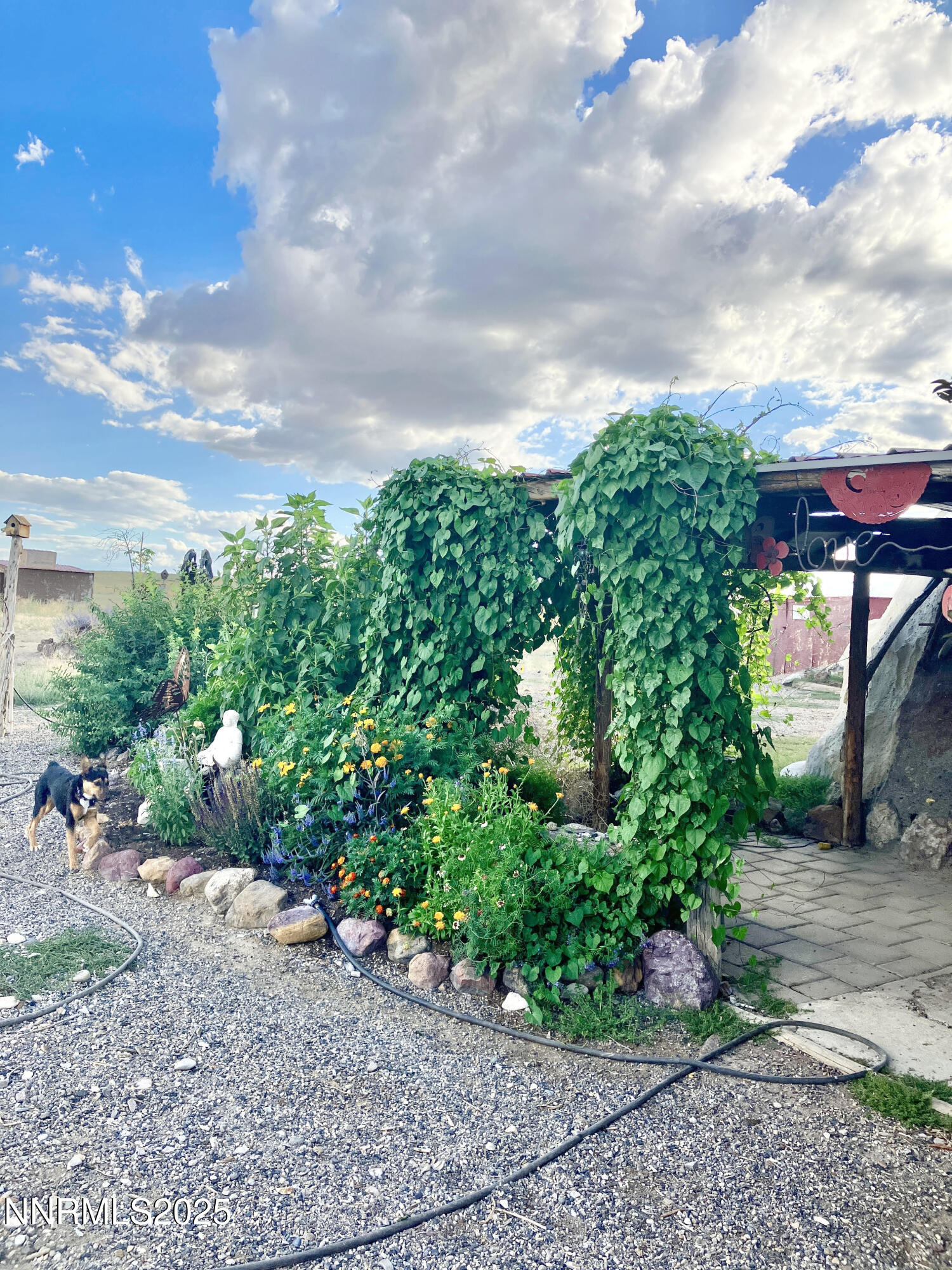 52 Horseshoe Circle Crescent Valley, NV 89821 - Photo 15 of 67 52 Horseshoe Circle Covered Patio 2