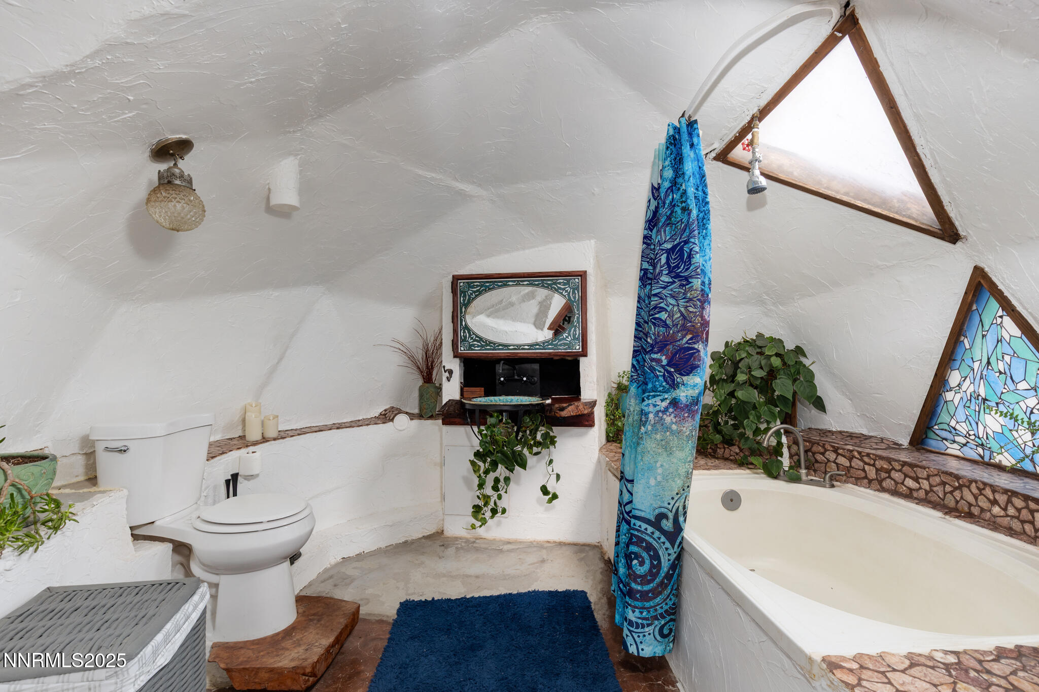 52 Horseshoe Circle Crescent Valley, NV 89821 - Photo 33 of 67 a bathroom with a bathtub and a potted plant