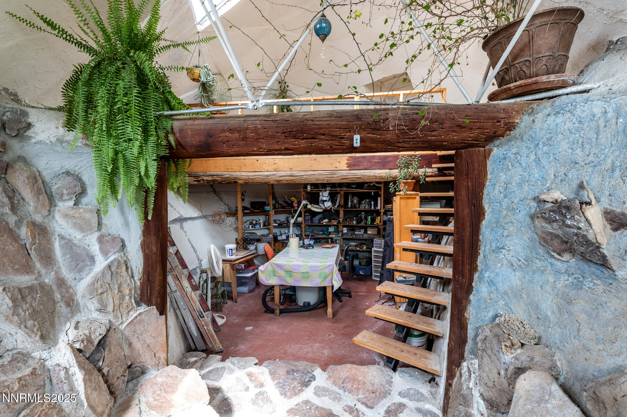 52 Horseshoe Circle Crescent Valley, NV 89821 - Photo 49 of 67 a room with furniture and potted plants