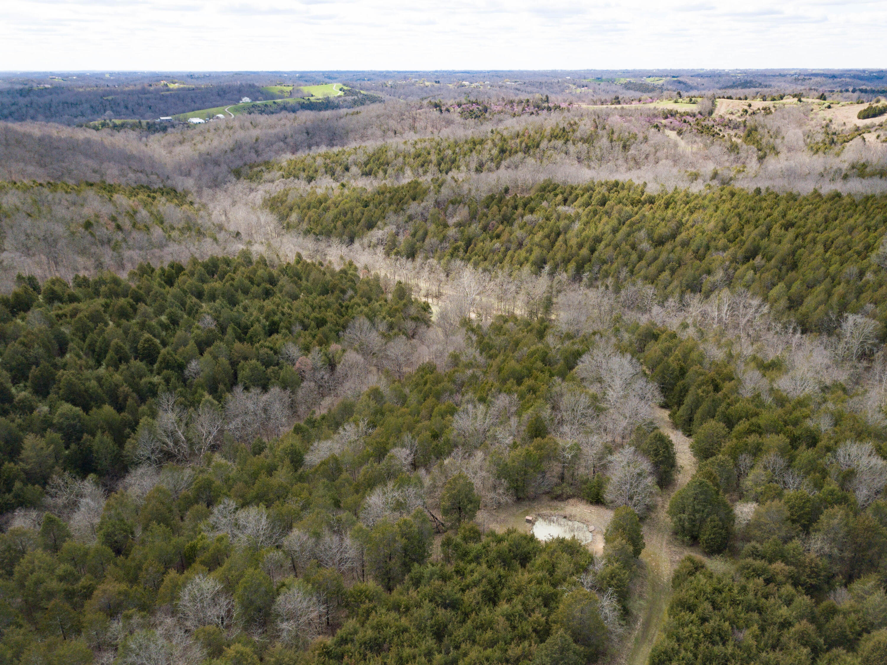 2618 Parina Road Brooksville, KY 41004 - Photo 20 of 23 Gallery Image 20