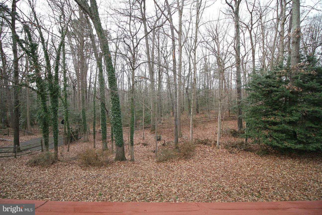 2646 Wild Cherry Place Reston, VA 20191 - Photo 25 of 26 a backyard of a house with lots of green space