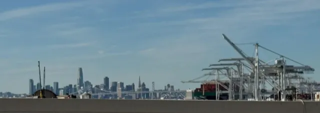 a view of a city with tall trees