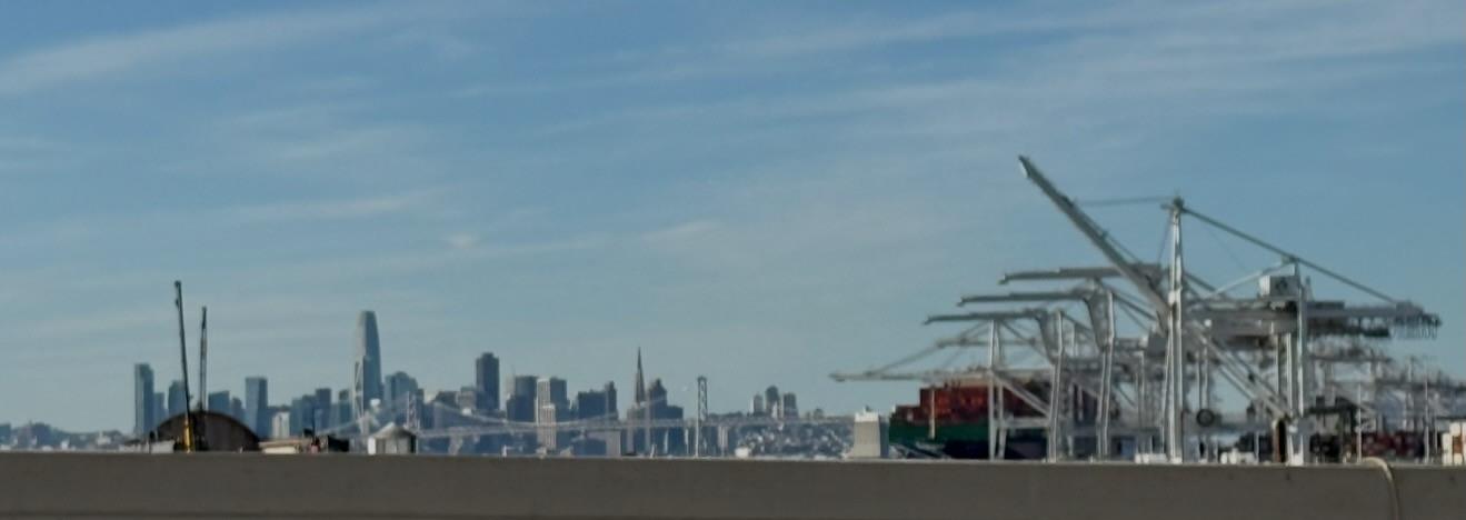 405 Sentinel Drive Alameda, CA 94501 - Photo 5 of 29 a view of a city with tall trees