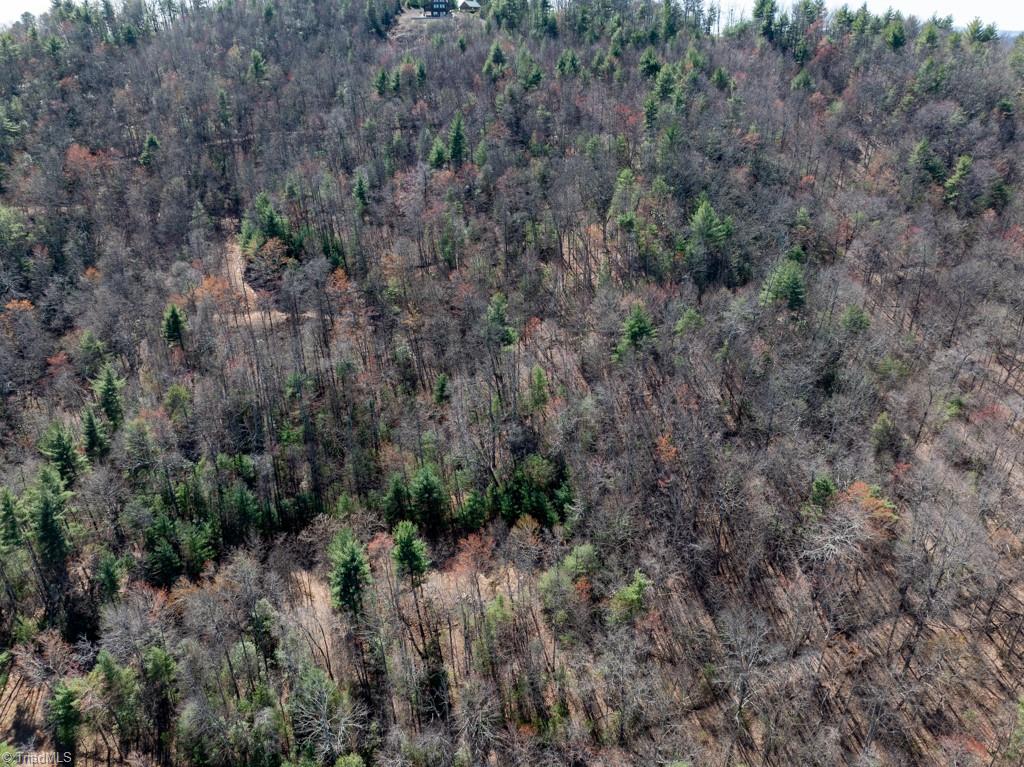 0 Staghorn Road Purlear, NC 28665 - Photo 12 of 36