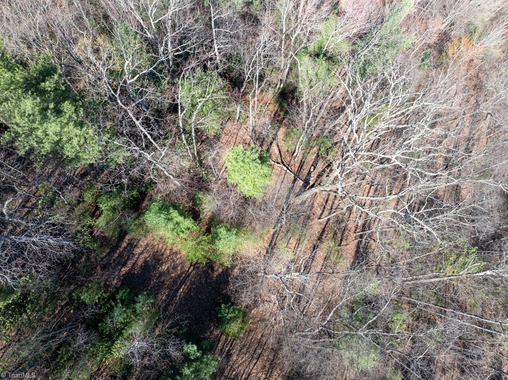 0 Staghorn Road Purlear, NC 28665 - Photo 15 of 36