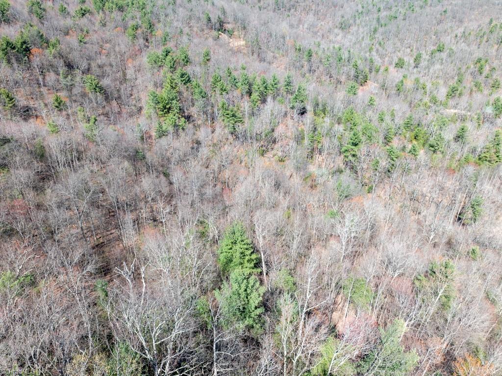 0 Staghorn Road Purlear, NC 28665 - Photo 16 of 36