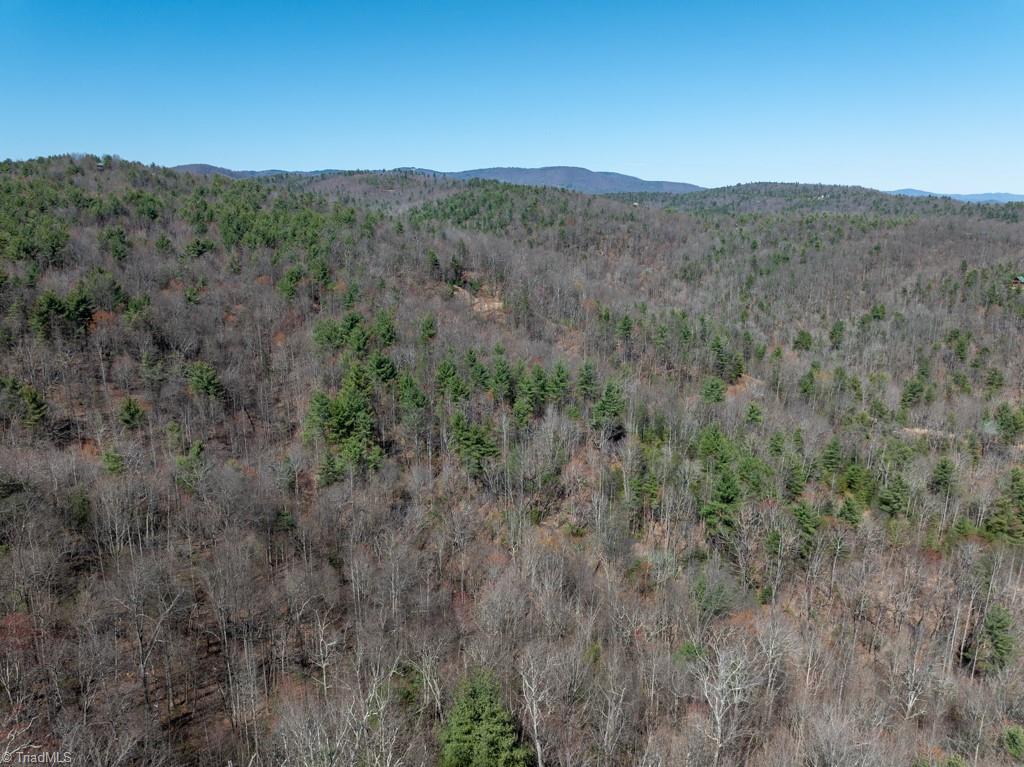 0 Staghorn Road Purlear, NC 28665 - Photo 17 of 36