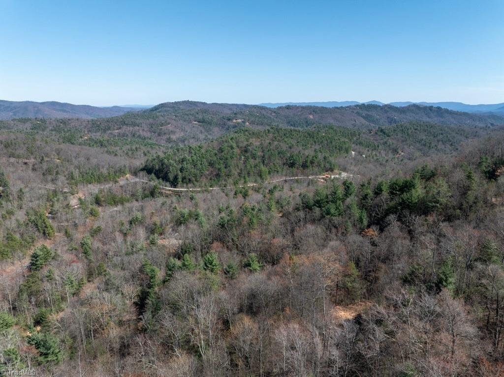 0 Staghorn Road Purlear, NC 28665 - Photo 19 of 36