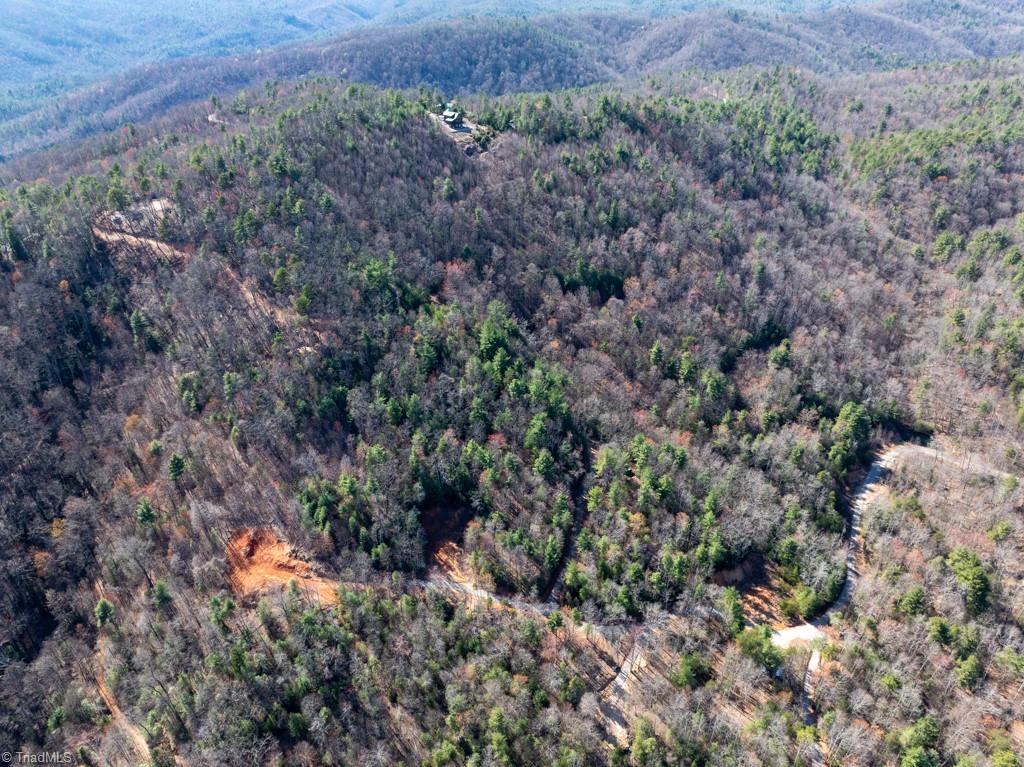 0 Staghorn Road Purlear, NC 28665 - Photo 2 of 36