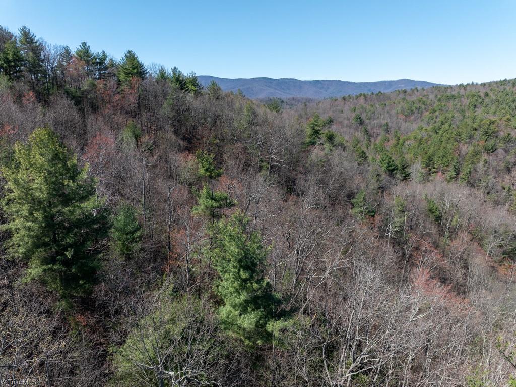 0 Staghorn Road Purlear, NC 28665 - Photo 25 of 36