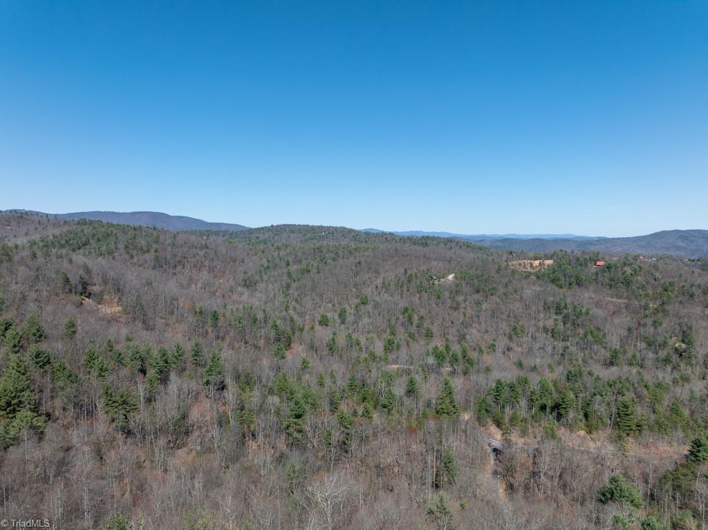 0 Staghorn Road Purlear, NC 28665 - Photo 26 of 36