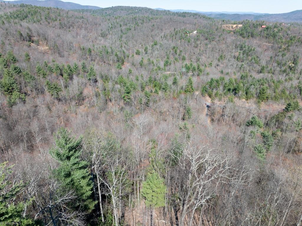 0 Staghorn Road Purlear, NC 28665 - Photo 27 of 36