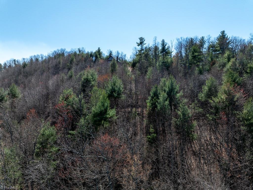 0 Staghorn Road Purlear, NC 28665 - Photo 30 of 36