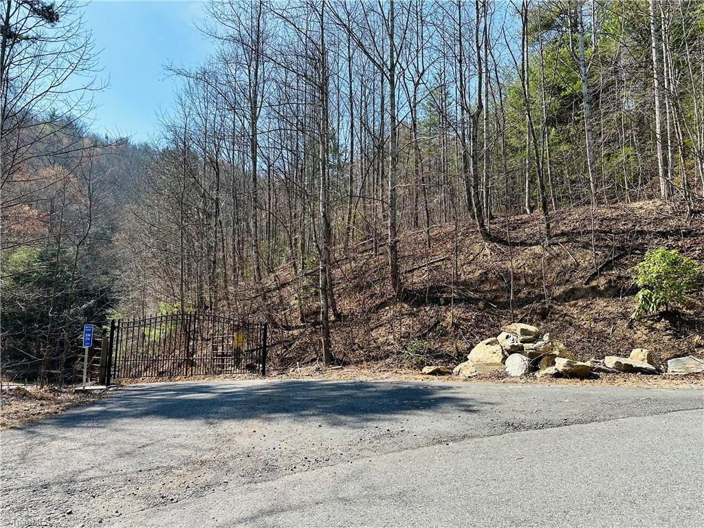 0 Staghorn Road Purlear, NC 28665 - Photo 3 of 36