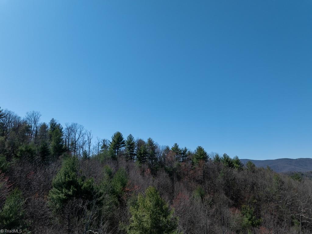 0 Staghorn Road Purlear, NC 28665 - Photo 31 of 36