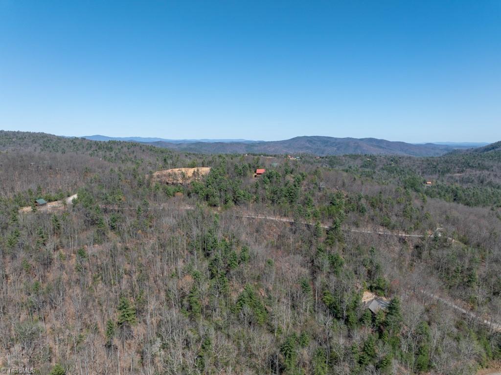 0 Staghorn Road Purlear, NC 28665 - Photo 33 of 36