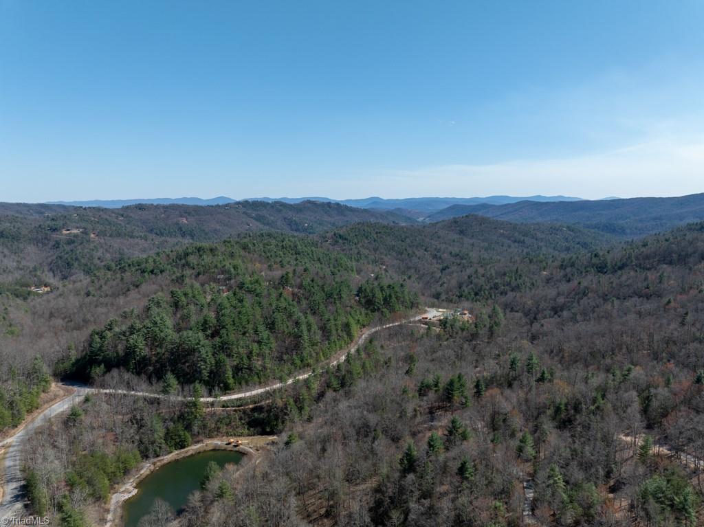 0 Staghorn Road Purlear, NC 28665 - Photo 34 of 36