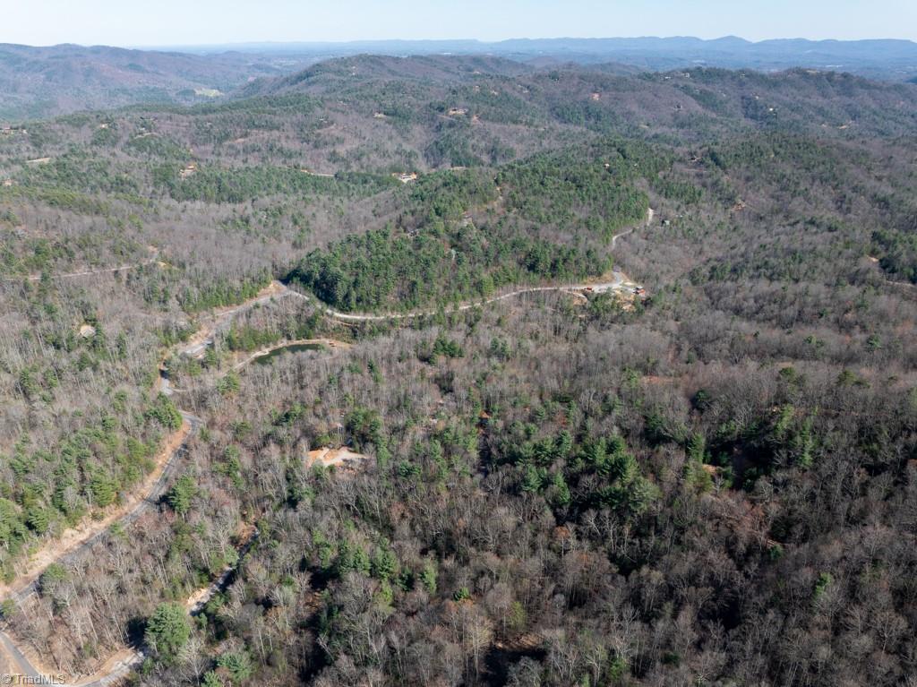 0 Staghorn Road Purlear, NC 28665 - Photo 5 of 36