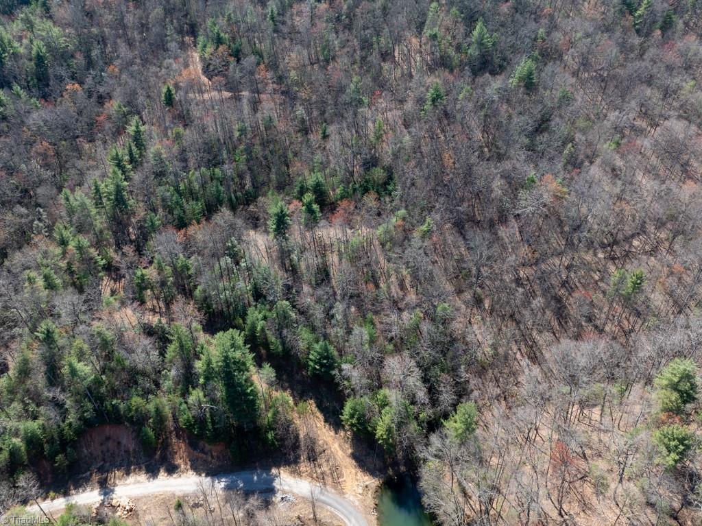 0 Staghorn Road Purlear, NC 28665 - Photo 6 of 36