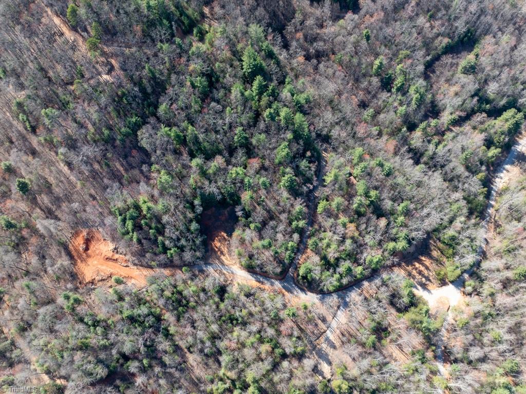 0 Staghorn Road Purlear, NC 28665 - Photo 7 of 36 GRAVEL ROAD FROM EASEMENT .