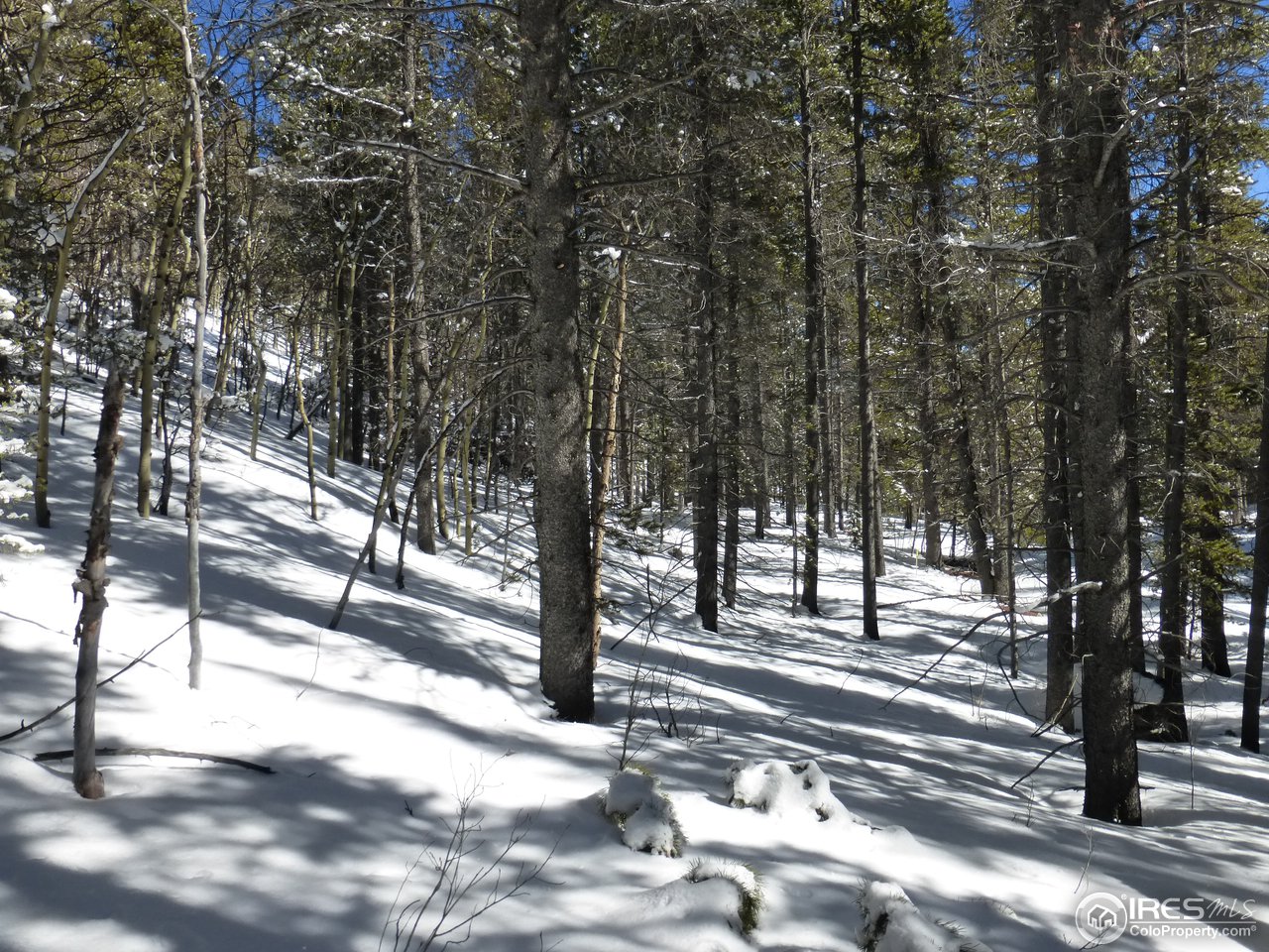 935 Rainbow Road Idaho Springs, CO 80452 - Photo 11 of 25 Gallery Image 11