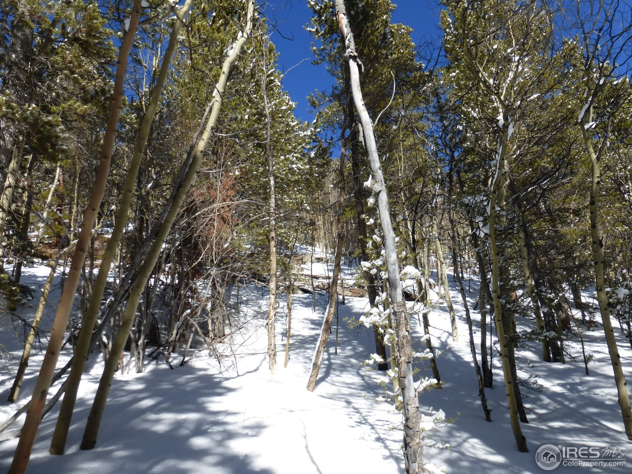935 Rainbow Road Idaho Springs, CO 80452 - Photo 12 of 25 Gallery Image 12