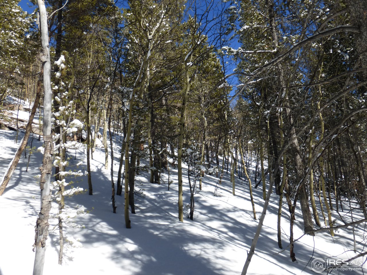 935 Rainbow Road Idaho Springs, CO 80452 - Photo 13 of 25 Gallery Image 13